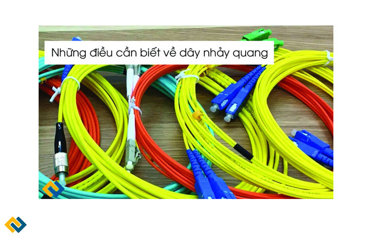 Các chi tiết kỹ thuật quan trọng của dây nhảy quang, Đặc điểm của dây nhảy quang