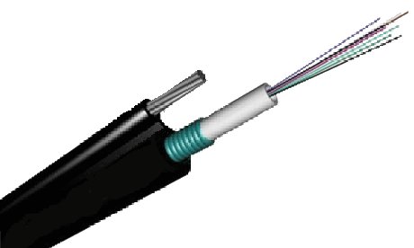 Cáp quang Multimode 24 sợi (24 core/24FO)