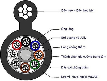 Cáp quang Singlemode 12core/ 12FO