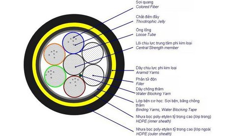 Cáp quang luồn cống singlemode 12FO/core