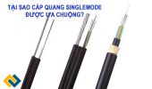 Tại sao cáp quang Singlemode được ưa chuộng?
