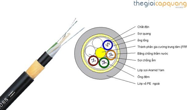 Cáp quang adss là gì? Cáp quang tự treo adss có những loại nào?