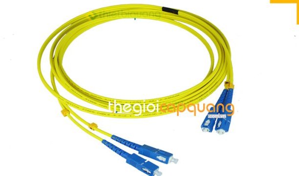 TOP 4 dây nhảy quang được ưa chuộng nhất