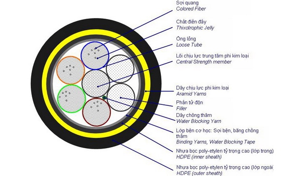 cap quang single mode 12fo